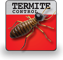 Termite Control.