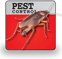 Pest Control.